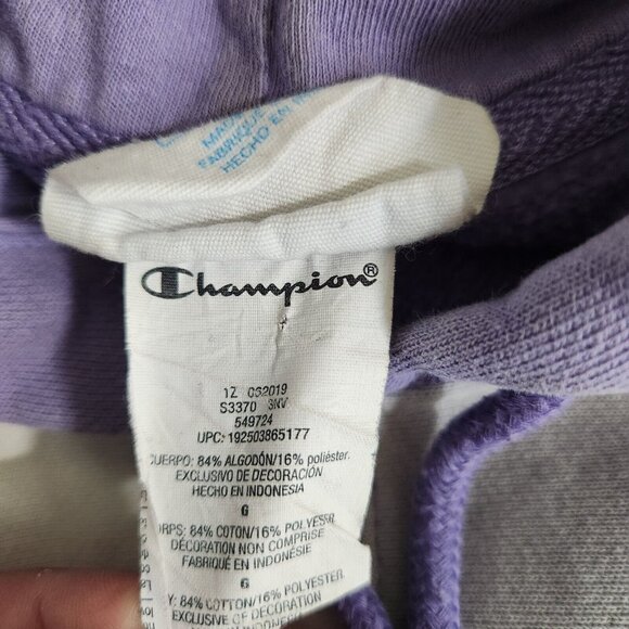 Y2K Champion Uo Exclusive Men's Large Purple Colorblock Hoodie Sweatshirt - Picture 5 of 16